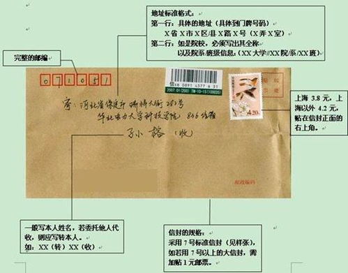2019下半年全国英语四六级成绩核查申请方式详解